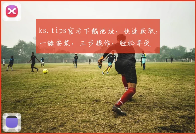 ks.tips官方下载地址，快速获取，一键安装，三步操作，轻松享受