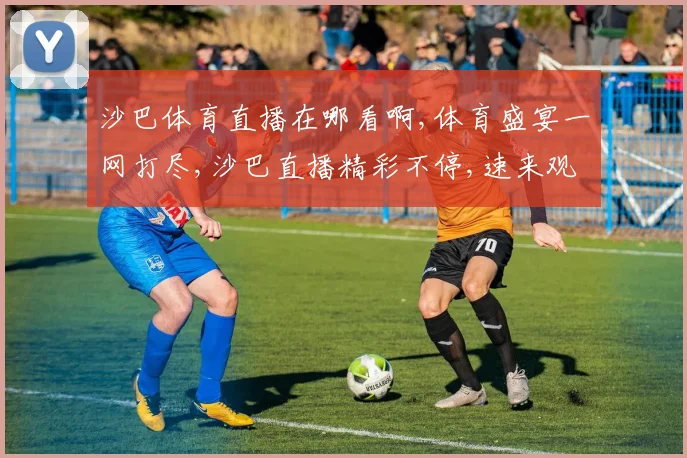 沙巴体育直播在哪看啊,体育盛宴一网打尽,沙巴直播精彩不停,速来观看